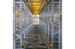 China Warehouse Intelligent Cold Storage Shuttle Rack Automatic Steel Shuttle Pallet Racking System supplier