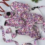 Adjustable Luxury Neoprene Mesh Soft Pet Dog Harness Set with Personalized Custom Logo Leash and OEM/ODM Accepted for sale
