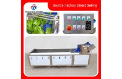 China High Efficiency Fruits And Vegetables Washer For Dandelions Coriander supplier