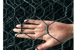 China Galvanized Expanded Metal Wire Mesh , Hexagonal Chicken Wire Mesh PVC Coated supplier