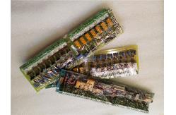 China General Electric IC660BRD024 Genius 12/24VDC Source Block IC660BRD024 supplier