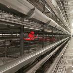 Commercial Generation Layer Chicken Cage System Automatic Design for sale