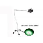 60000 Lux Medical Examination Lamp Checking Lamp for sale