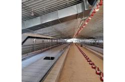 China 90 Degree Chain Automatic Pan Feeding System supplier