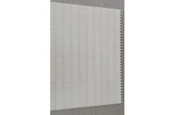 China                  1000 Series Modular Belt with 1 Inch Pitch              supplier