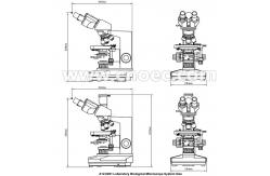 China Biological Microscope Plan Objective 40X - 1000X With CE A12.0201 supplier