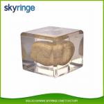 Personalized Transparent Square Paper Weight , Liquid Filled Paperweight