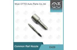 China E429 Delphi Common Rail Nozzle supplier