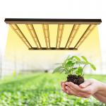 480W 6Bar Samsung LM301B 4x4 LED Grow Light For Indoor Plant for sale