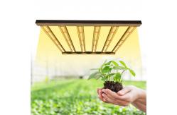 China Full Spectrum 480w 400w Dimmable LED Grow Lights supplier