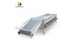 China Circulating Hole Fruit Processing Line ,  Tengsheng Roller Conveying Vegetable Processing Line supplier