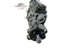 China Fuel Injection Pump 0403466154 3926880 0403466156 3926881 for 6CT 6CT8.3 supplier