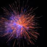 Chinese Wholesale China Pyrotechnics 1.2 Inch Fireworks 1.4g Consumer Cake Fireworks Factory Price Outdoor Fireworks 2025 for sale