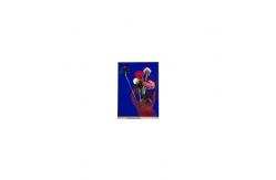 China AUO 3.5 inch A035QN02 V1 320*240 LCD SCREEN supplier