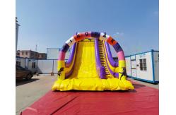 China Playground Jumping Inflatable Slide Bouncer For Birthday Party supplier
