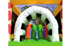 China 3 In 1 Kids Inflatable Water Slide Combo Bounce House For Resorts supplier