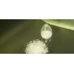 HAA Curing 92/8 Resin Superdurable Fast Cure Componet