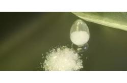 China HAA Curing 92/8 Resin Superdurable Fast Cure Componet supplier