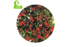 China Look Real Small Artificial Plants In Pots With Flower Tree supplier