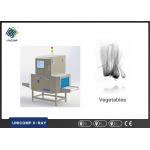 Metal Detector Food And Beverage X Ray Access Control Systems For Foreign Matters for sale