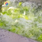 Vibration Salad Making Vortex Fruit And Vegetable Washing Machine