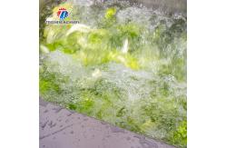 China Vibration Salad Making Vortex Fruit And Vegetable Washing Machine supplier