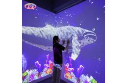 China Seamless Blending Immersive Holographic Display Giant Canvas Projection Mapping supplier