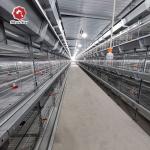 H Type Poultry Broiler Chicken Cage Baby Chick Cages for sale