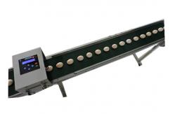 China 50 / 60 HZ Single Row Egg Continuous Inkjet Printer With Red Edible Ink supplier