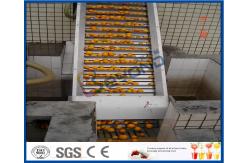 China Energy Saving Orange Processing Line with Glass / PET Bottle Filling Machine supplier