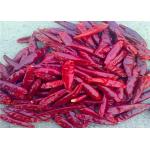 Stemless 7CM Dried Tianjin Tien Tsin Chile Peppers Chinese Neihuang for sale