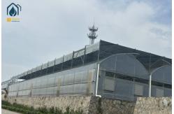 China Multi Span Greenhouse Project Management Advanced Irrigation For Large Farms supplier
