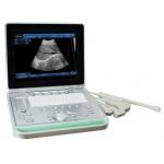 3D Digital B / W Portable Ultrasound Scanner With Convex Linear Transvaginal Probes for sale