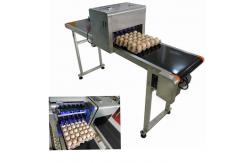 China Smart High Speed Egg Jet Coding Machine Printing 120000 Characters Per Hour supplier