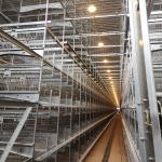 30000 Chicken Egg Layer Cages