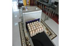 China Popular Eggs Number Inkjet Printer With High Resolution For Egg Supplier supplier