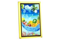 China Low Attenuation DC12V LGP A4 10mm Custom Light Box Display supplier