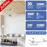 3 ABS Plastic Blades DCF-FS52920 DC Motor Ceiling Fan Natural Wind