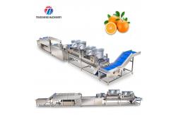 China Fruit And Vegetable Wool Roller Bubble Cleaning Machine 1500KG/H supplier