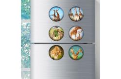 China Cartoon PP PET PVC Image 3D Lentiuclar Magnets UV Printing Souvenir supplier