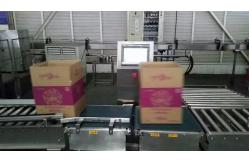 China Dynamic Automatic Check Weighing Machines High Accuracy With Better Tolerance supplier
