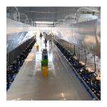 Dairy Farm Electric Herringbone Parlour Milking Systems 100 Cows Per Hour for sale