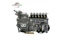 China Fuel Injection Pump BH6P110 5676 BH6P120 P10Z010 P10Z002 For C6121 Engine supplier