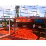 Fresh Tomato Puree Processing Line Customization High Capacity 6.5t/H for sale