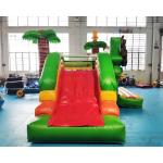 Commercial Bouncy Castle Inflatable Water Slide With Pool