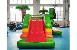 China Commercial Bouncy Castle Inflatable Water Slide With Pool supplier