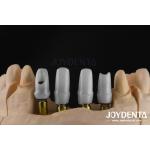 Custom Dental Implant Zirconia Abutment For Single Or Multiple Unit Restorations for sale