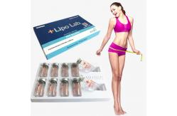 China Lipolab Safe Lipolysis Solution Body Fat Dissolving Injections 10ML supplier