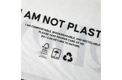 China Self Adhesive Seal Cellophane Packaging Bag Sustainable Packaging No Plastic Biodegradable Material supplier