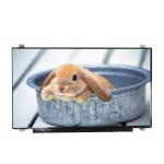 Supply B173HAN01.4 size 17.3 inch Matte Hard coating LCD Screen for sale